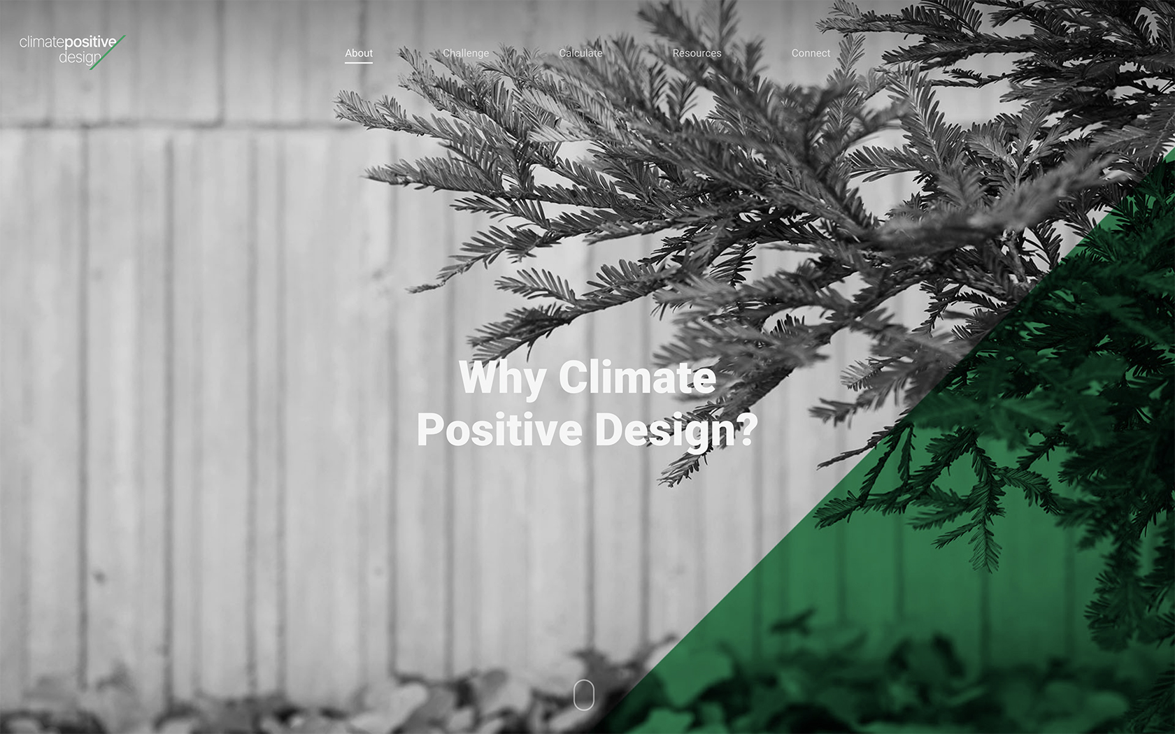 About — Our Mission — Climate Positive Design