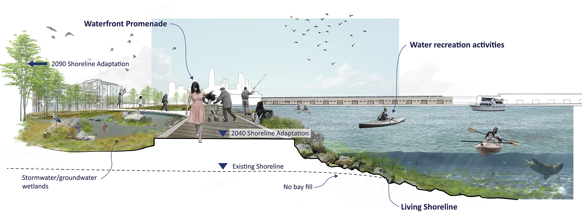 San Francisco Waterfront Resilience Program